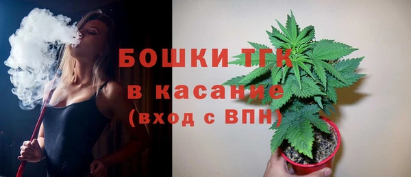 СК Богородск