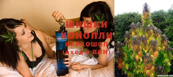 СК Аркадак